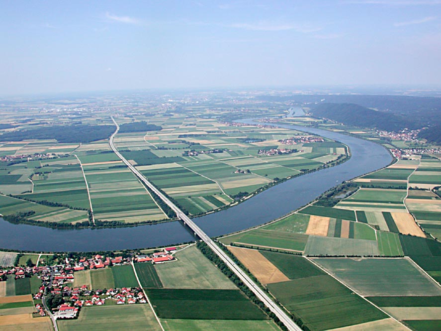 Morgenflug an der Donau