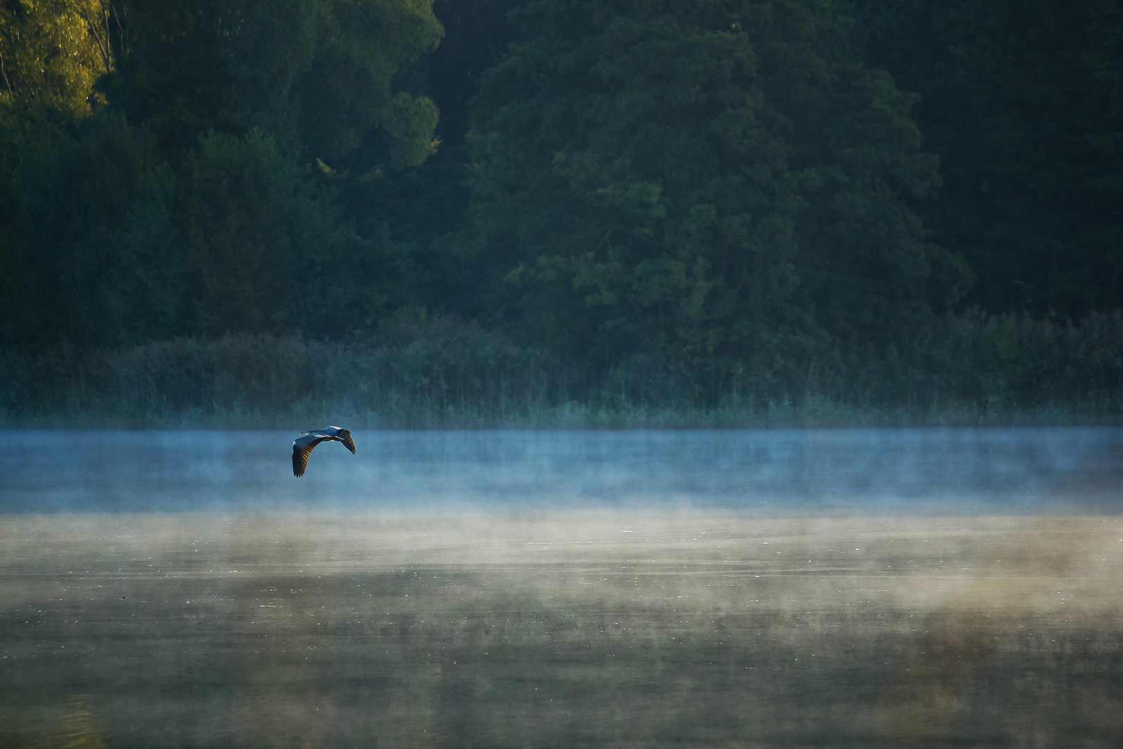 Morgenflug