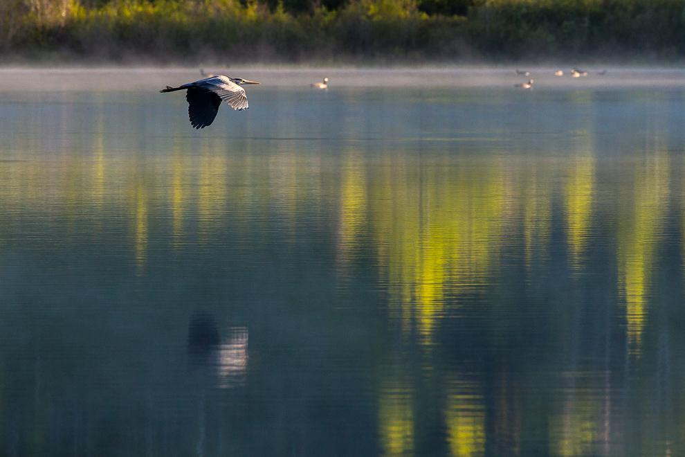 Morgenflug