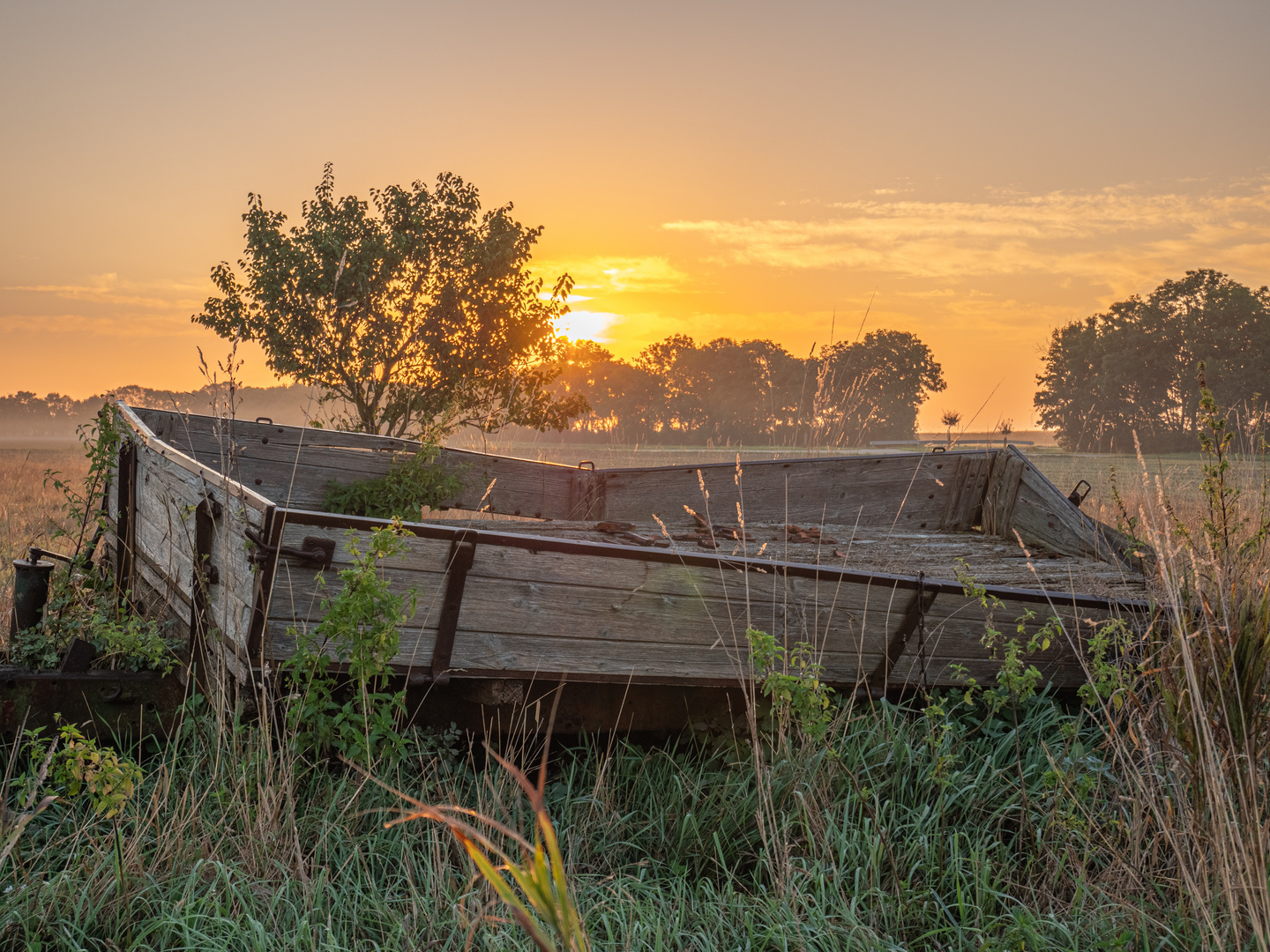 MorgenFoto