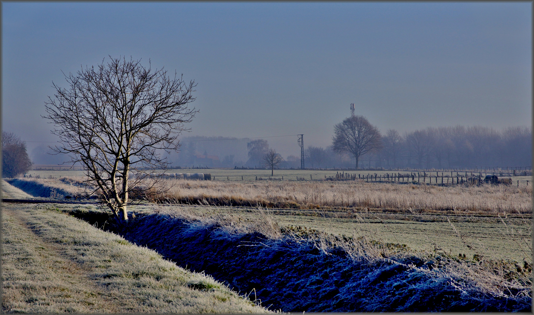 Morgenfrische