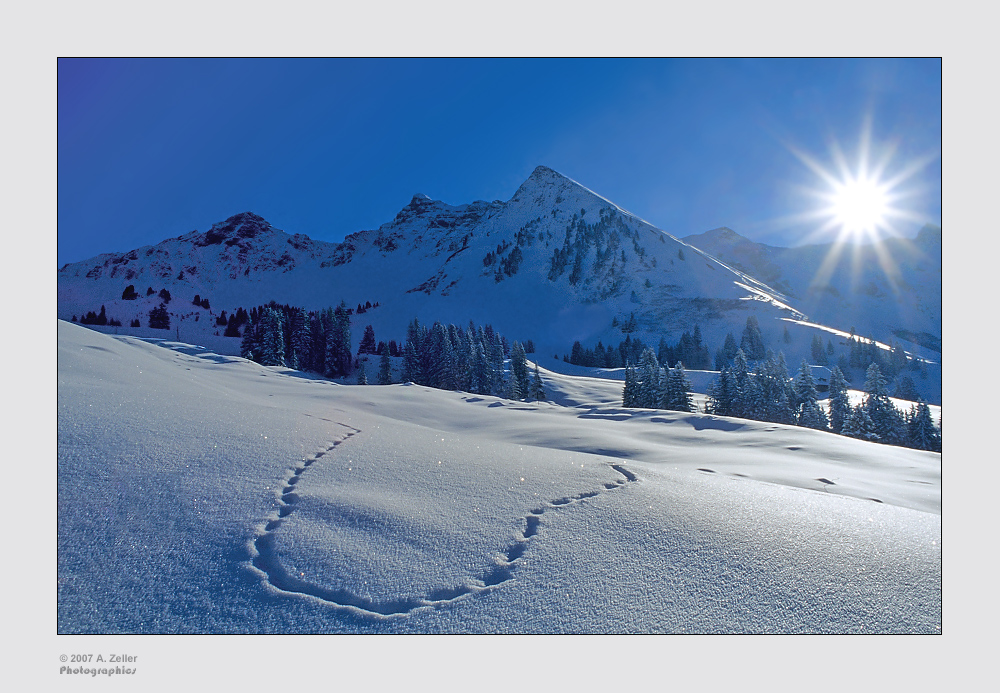 Morgenfrische bei -14°C