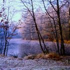 Morgenfrost -4