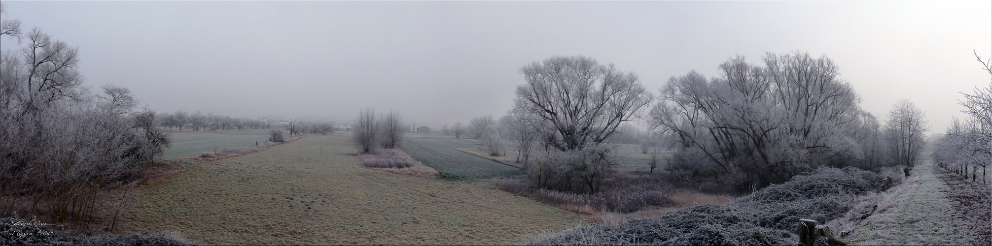 Morgenfrost