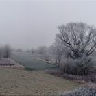 Morgenfrost