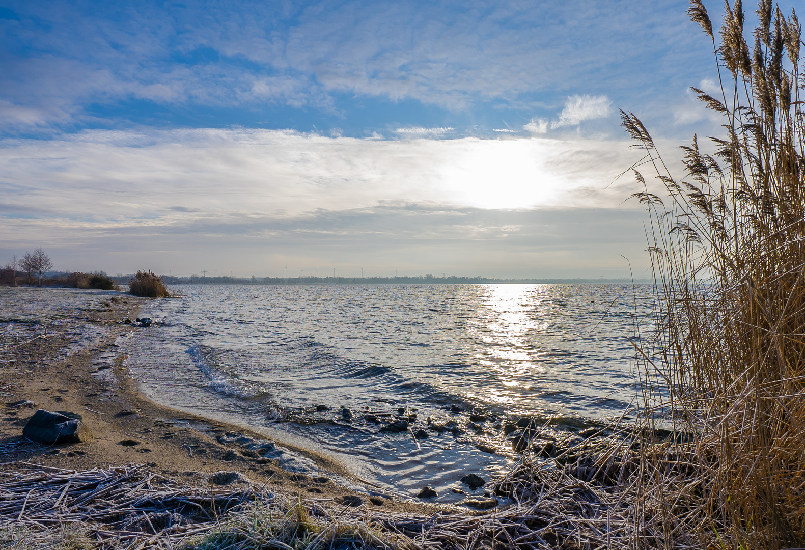 Morgenfrost am See