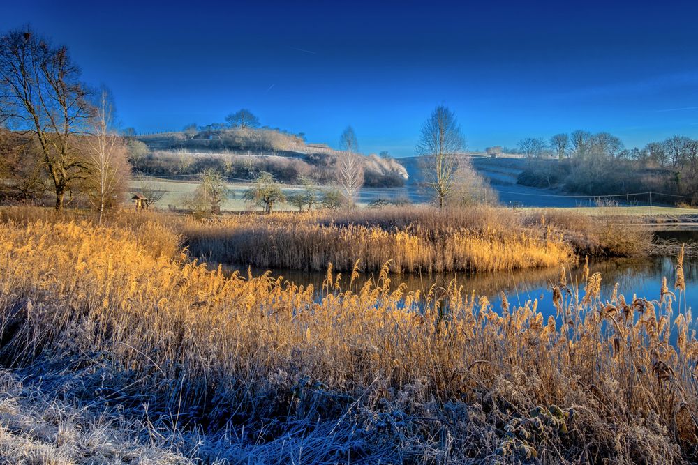 Morgenfrost am See 