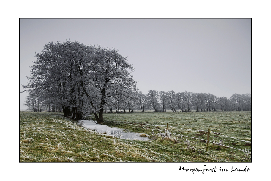 Morgenfrost im Lande