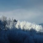 Morgenfrost im Mürztal