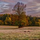 Morgenfrost im Slowenischen Karst