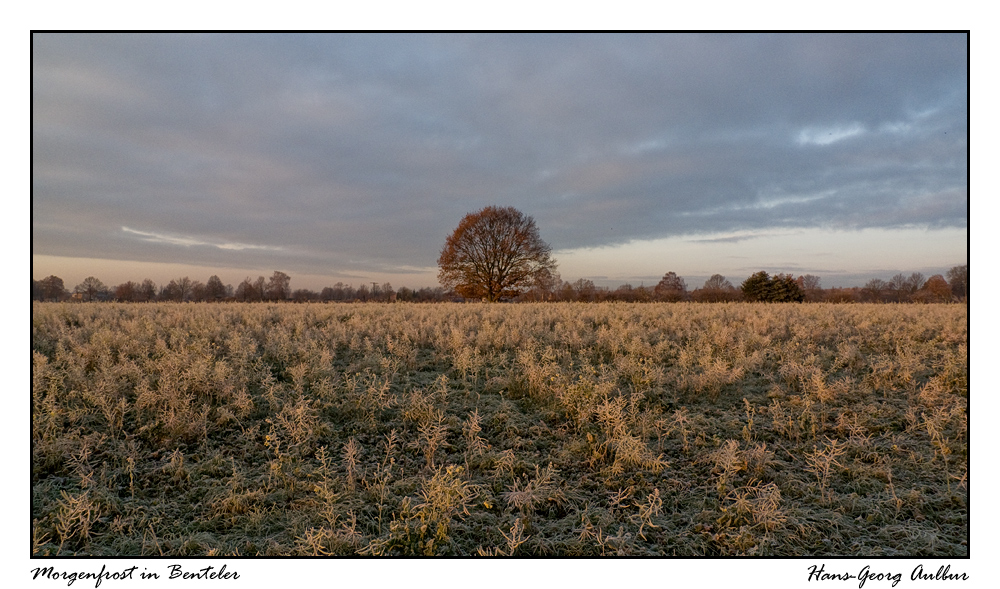 Morgenfrost in Benteler