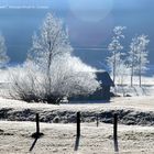 Morgenfrost in Gosau