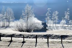 Morgenfrost in Gosau