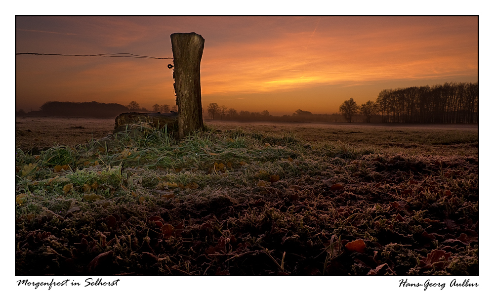 Morgenfrost in Selhorst