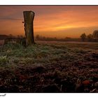 Morgenfrost in Selhorst