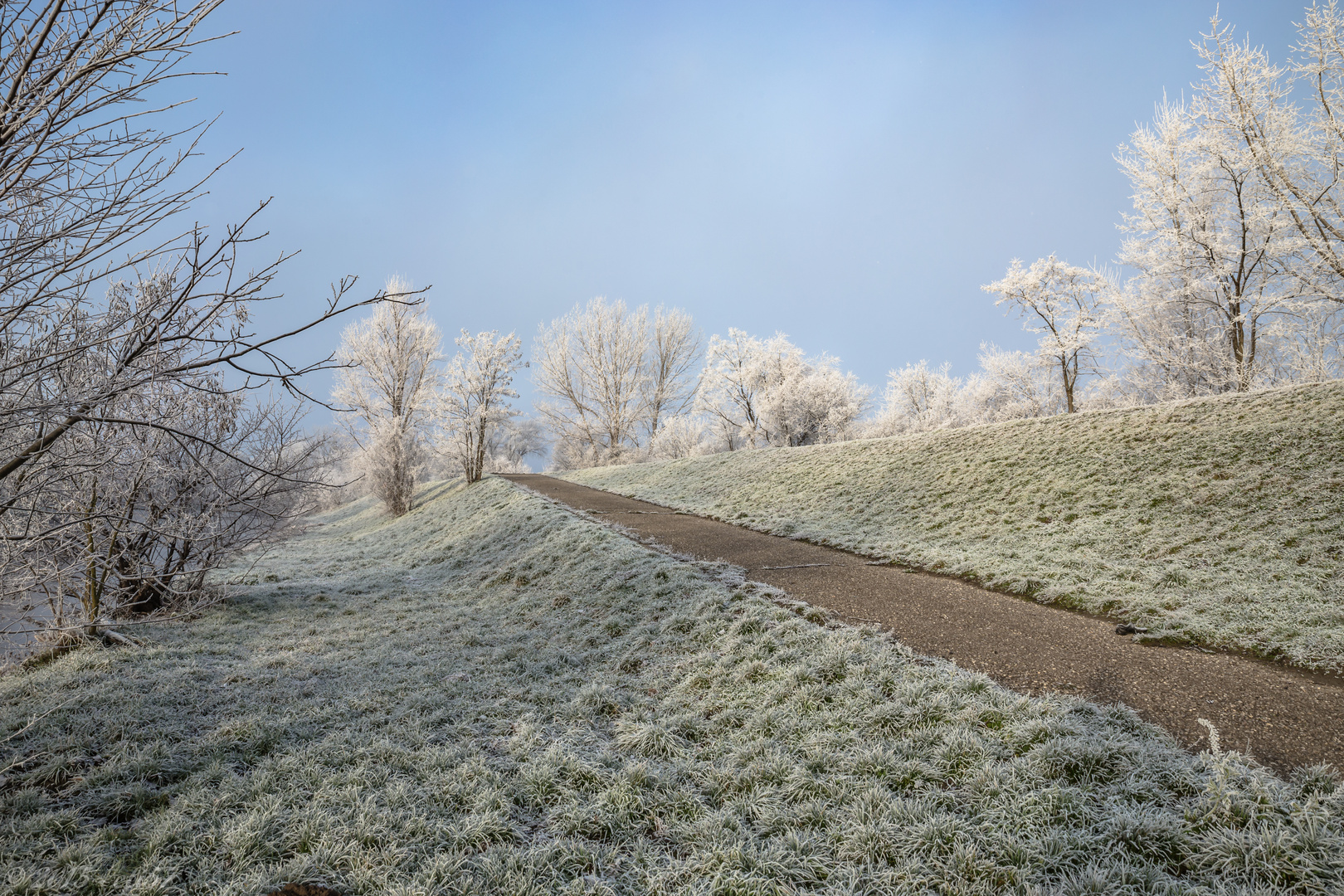 Morgenfrost überzieht die Landschaft