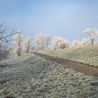 Morgenfrost überzieht die Landschaft