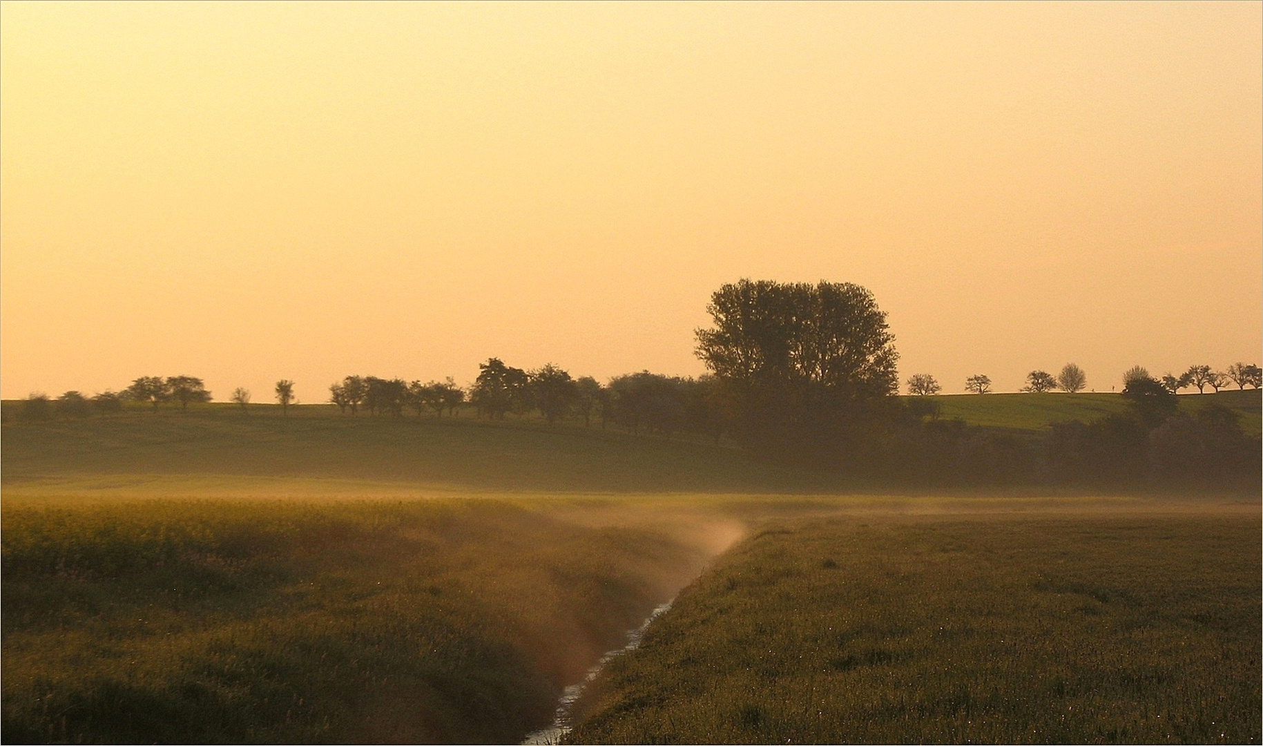 Morgenfrühe