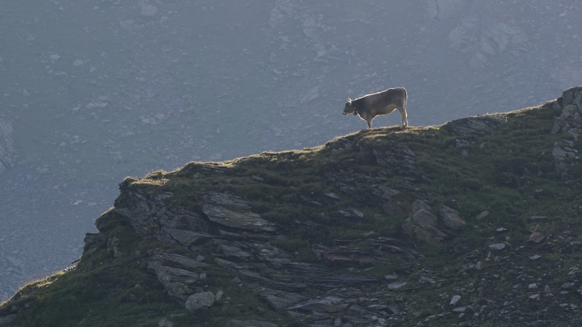 Morgengebet in den Schweizer Bergen