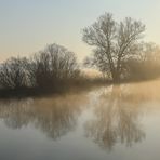 Morgengeflüster