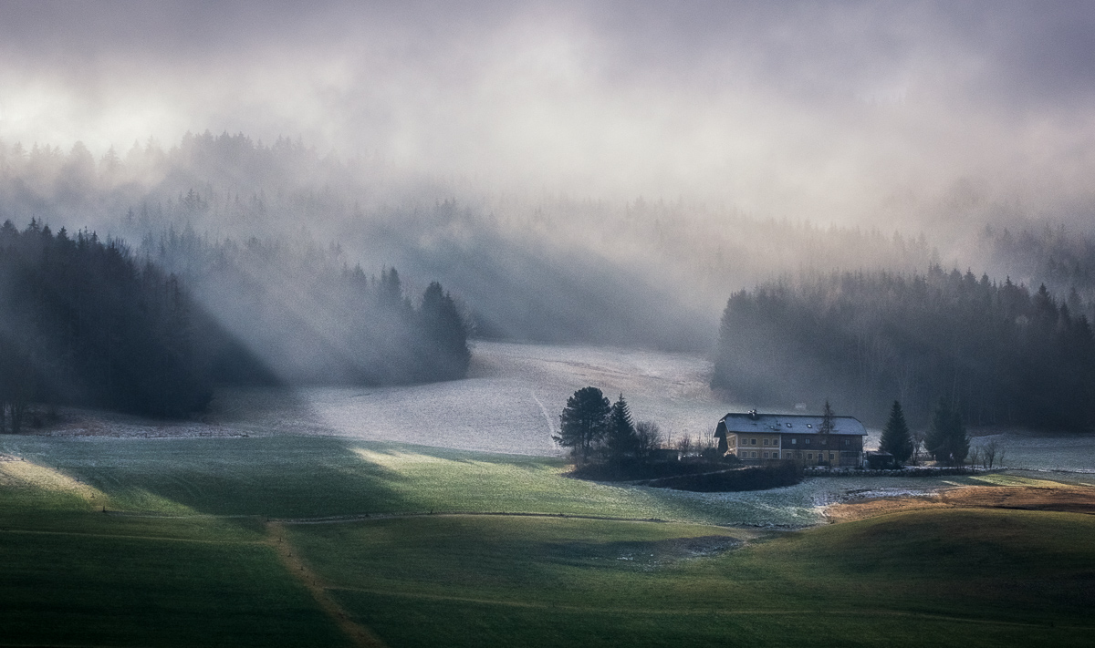 MorgenGegenLicht