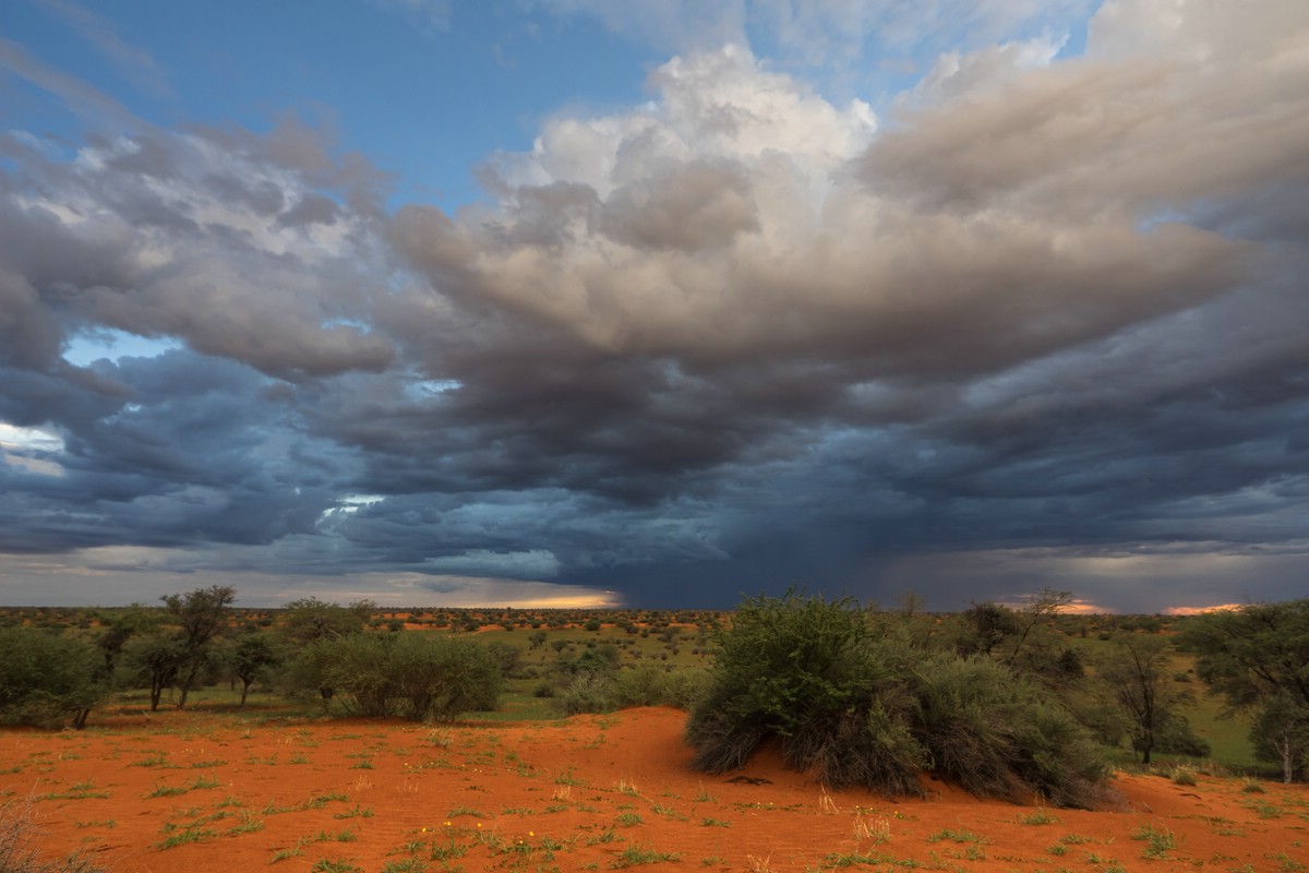 Morgengewitter über der Kalahari