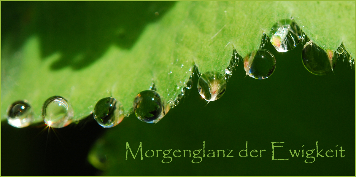 Morgenglanz