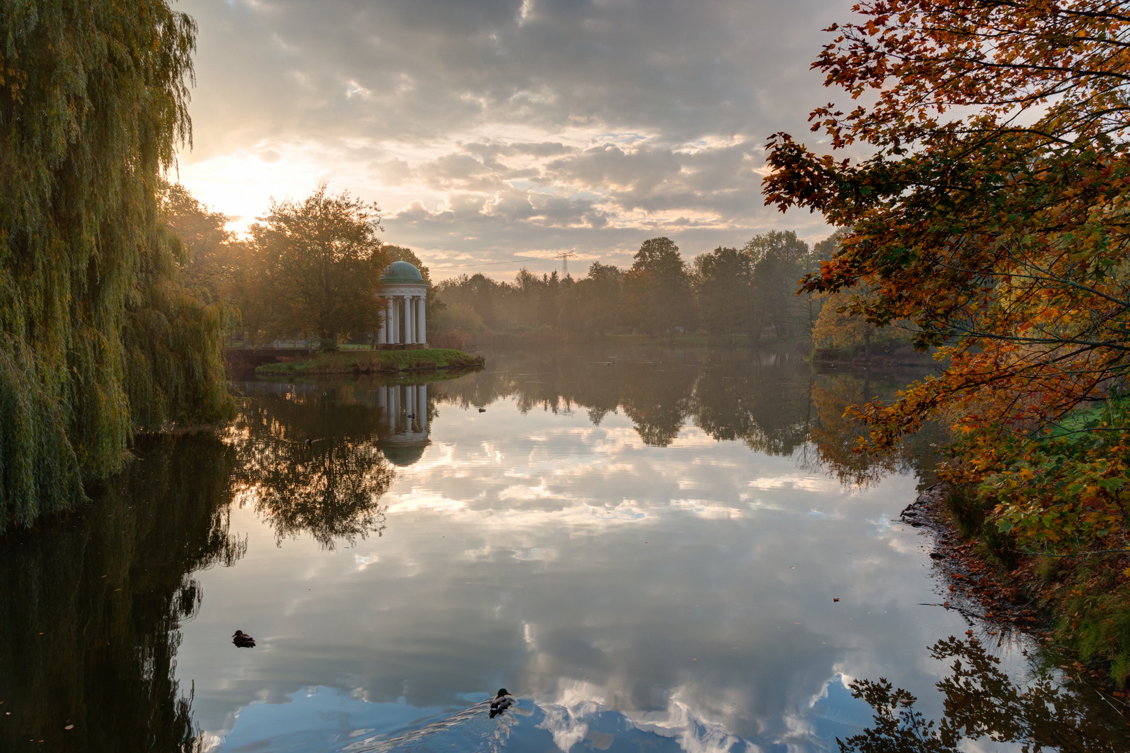 Morgenglanz am Teich 