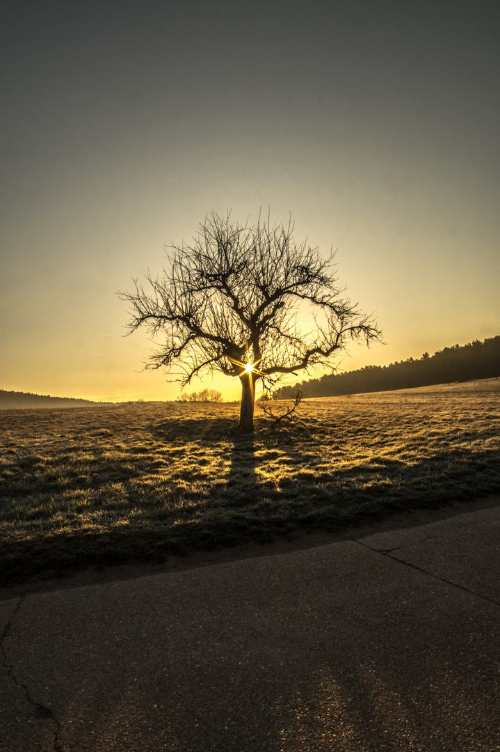 Morgenglanz der Ewigkeit