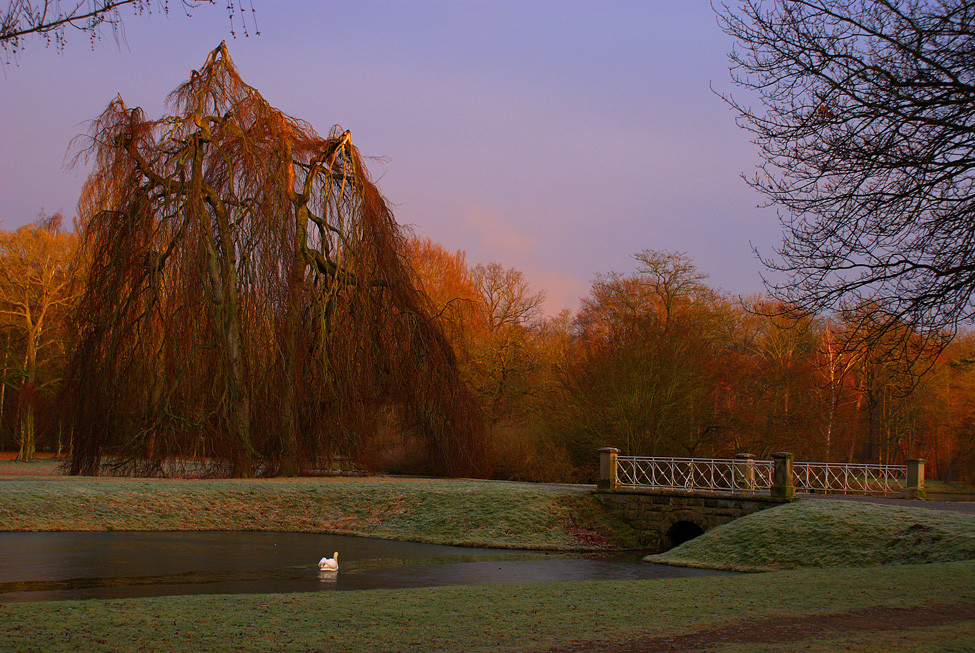 Morgenglanz - HDR