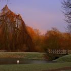 Morgenglanz - HDR