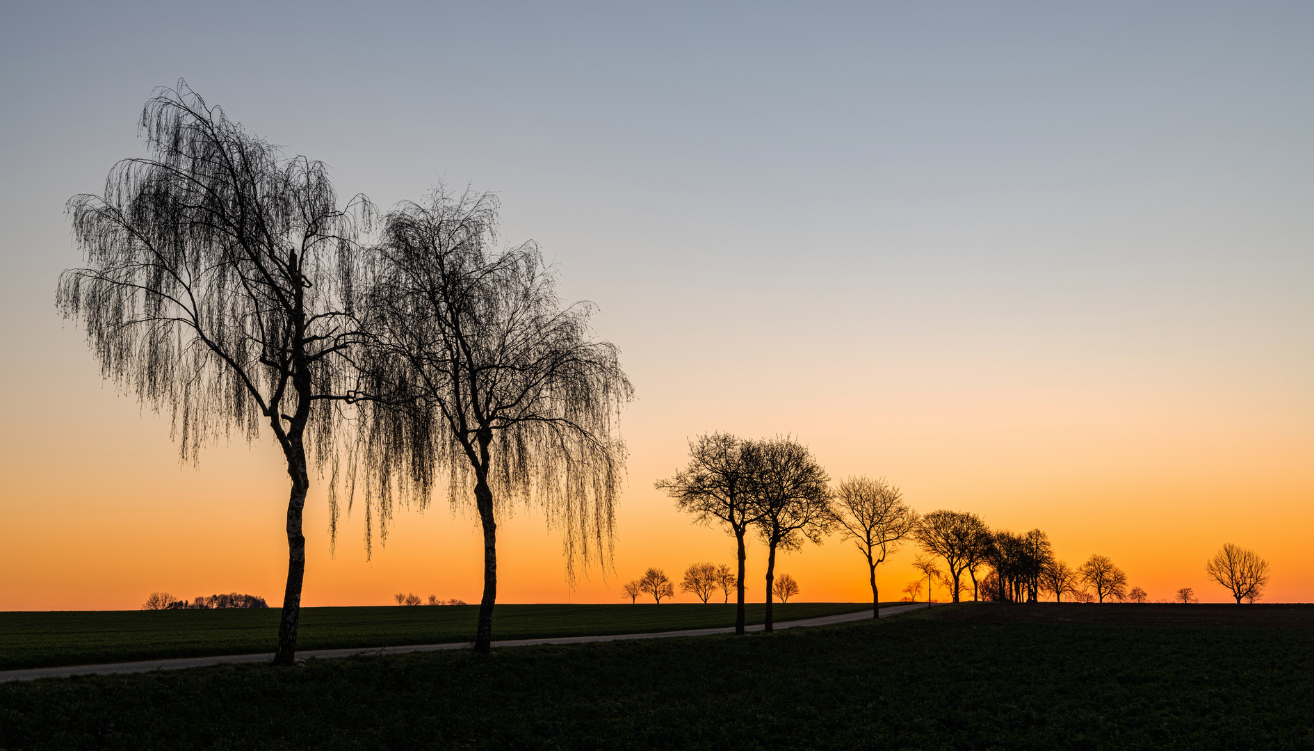 Morgenglühen