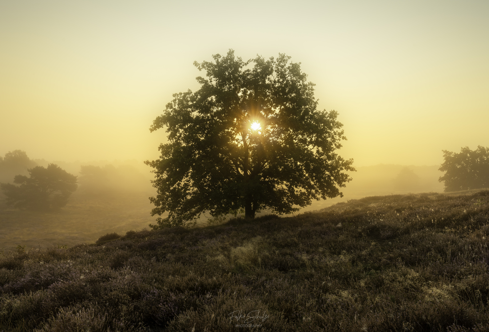 Morgenglühen