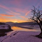 Morgenglühen am Wintersee