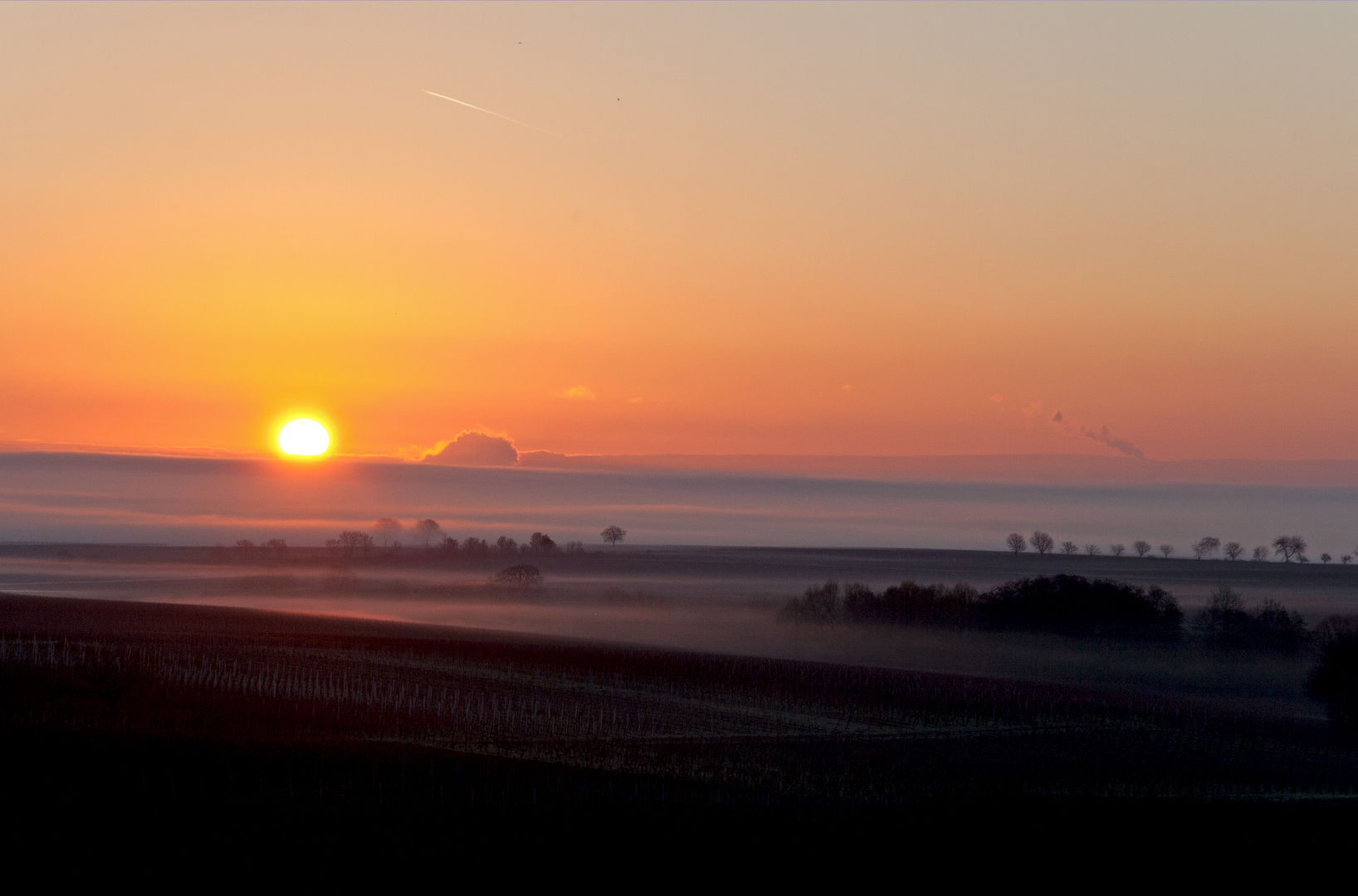 Morgenglühen an der Südlichen Weinstraße