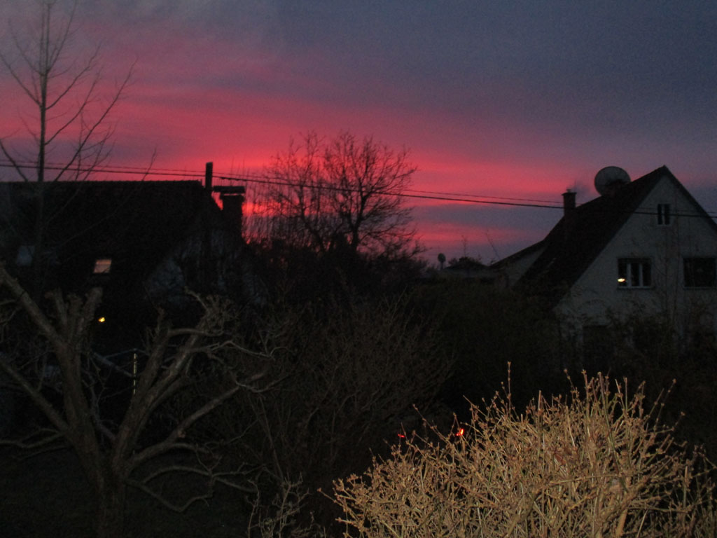  Morgenglühen im Dezember 