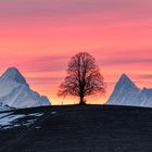 Morgenglühen im Emmental