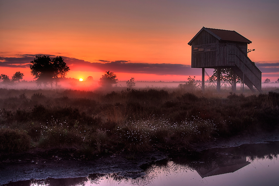 Morgenglühen im Moor