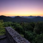 Morgenglühen über dem Pfälzerwald