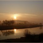 Morgengold pur - Polle a.d. Weser