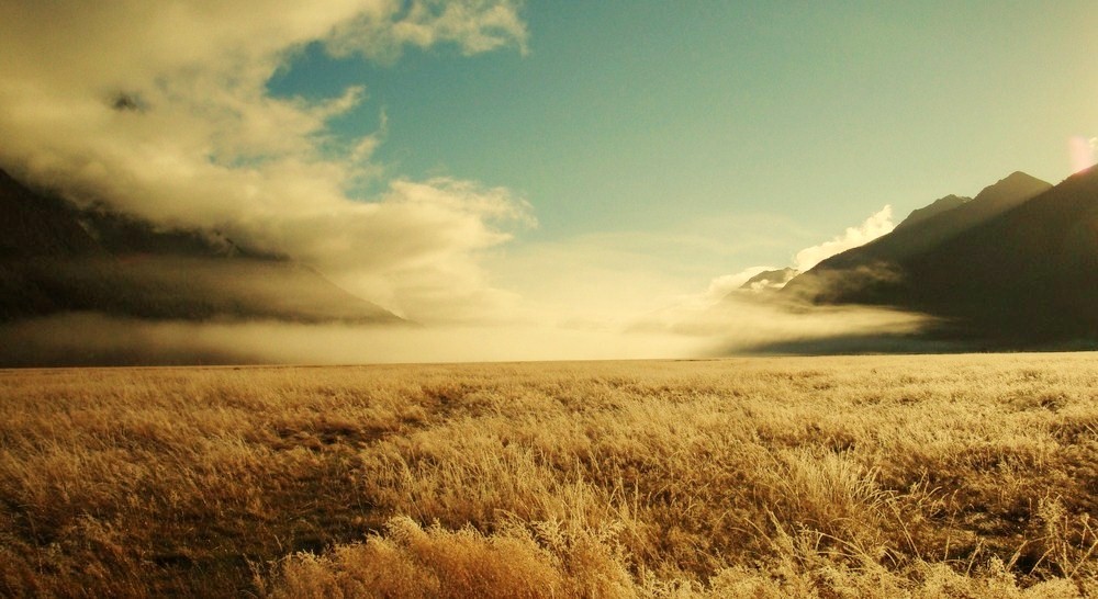 morgengrau in new zealand