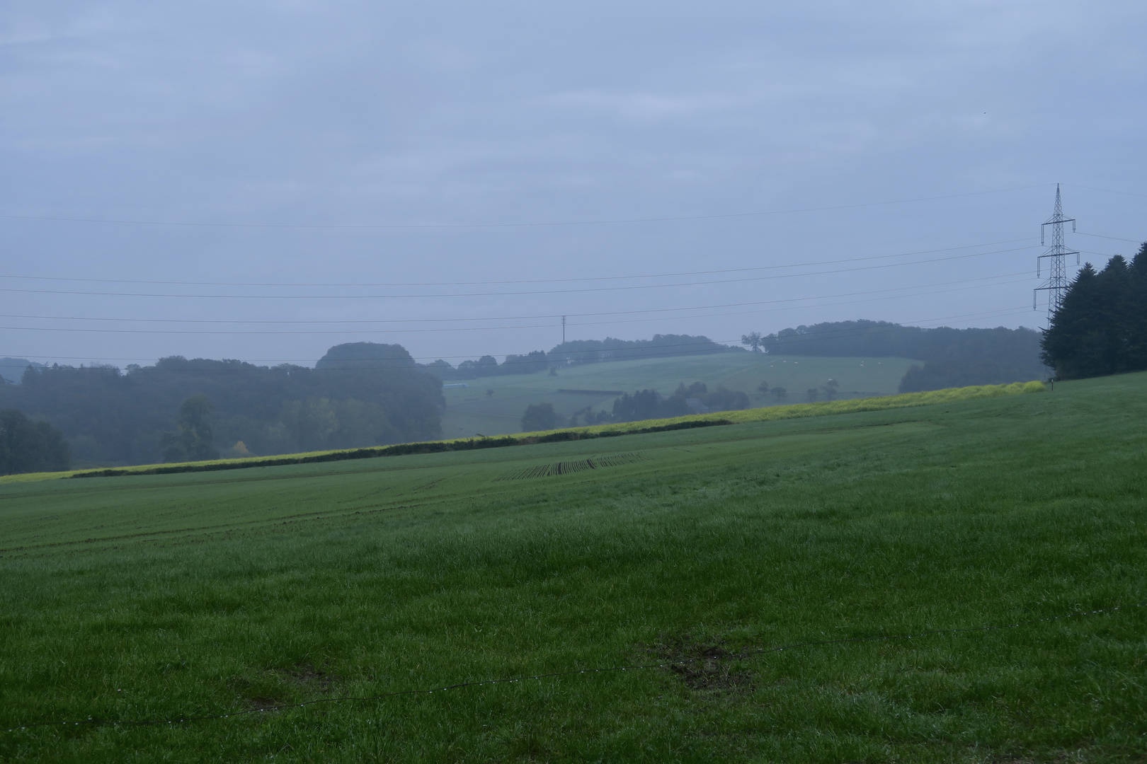 Morgengraue Landschaft nach Süden hin aufsteigend.