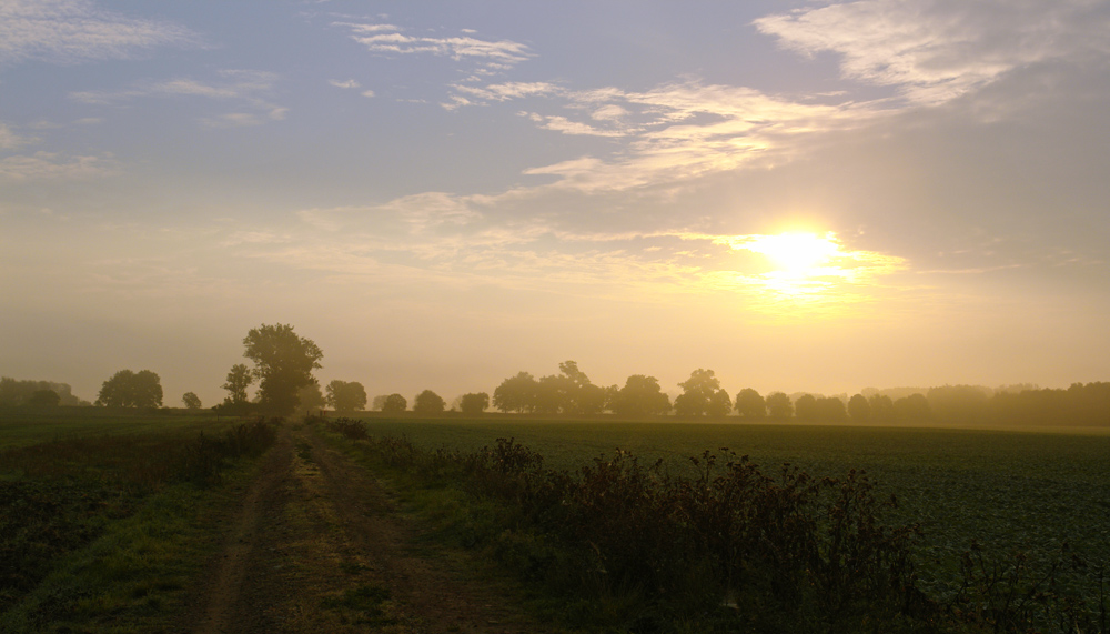 Morgengrauen