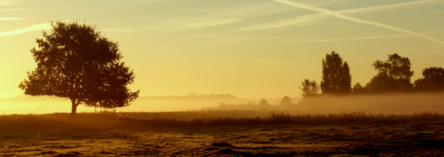 Morgengrauen