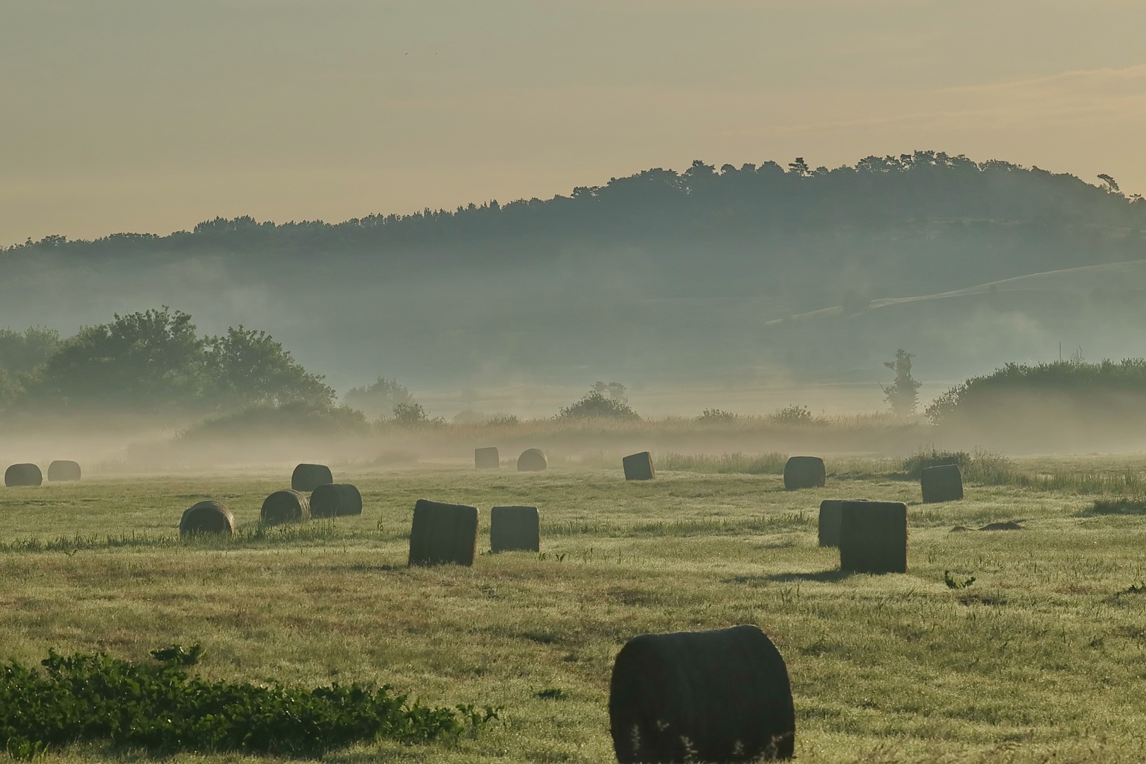 Morgengrauen