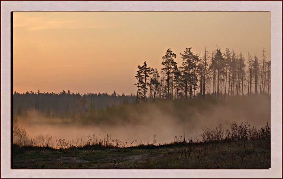 Morgengrauen ..