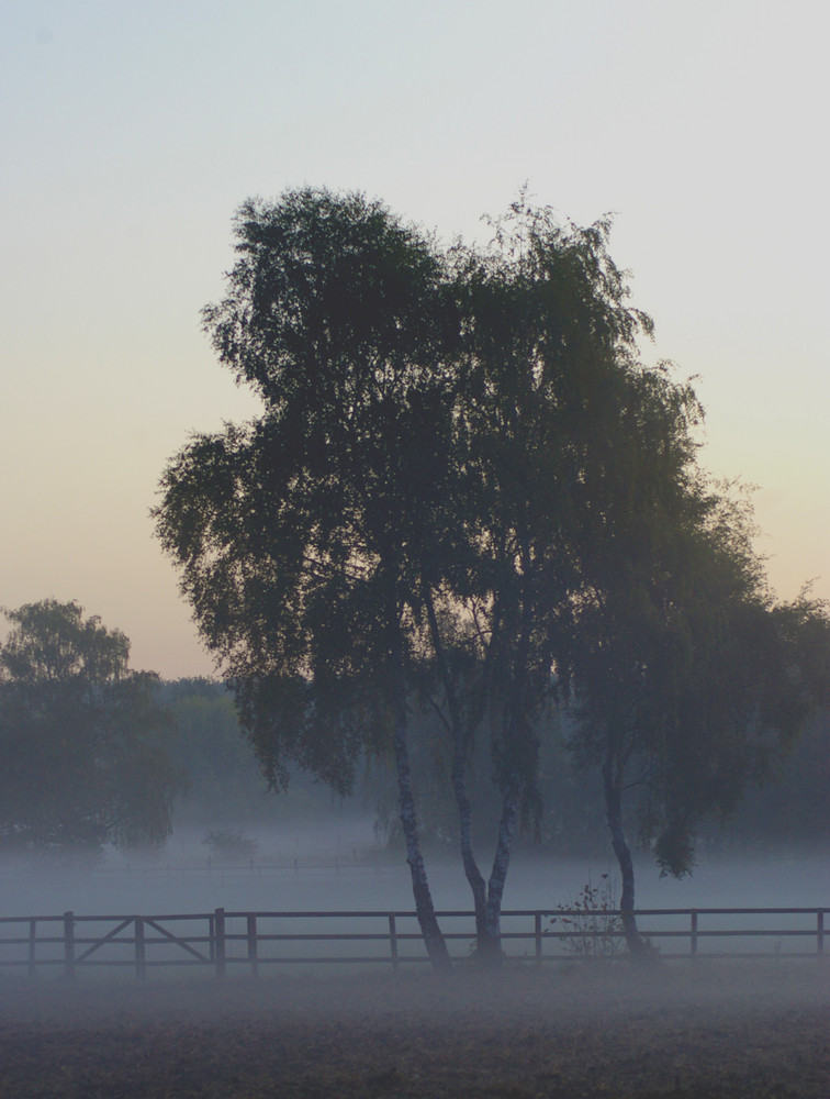 Morgengrauen