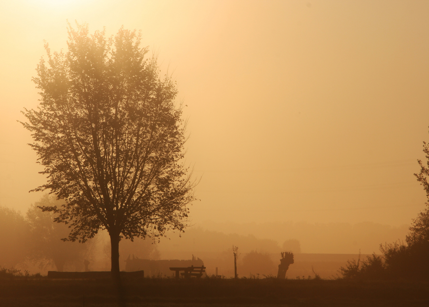 Morgengrauen