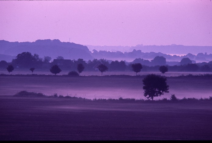 Morgengrauen