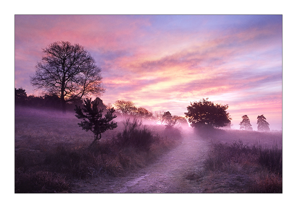 Morgengrauen